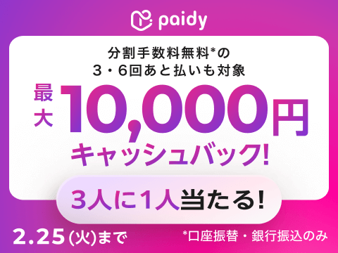 paidy 分割手数料無料※の3・6回6回あと払いも対象 1等10,000円 2等500円 3等100円 キャッシュバック！ 2.25(火)まで 期間中にペイディで1,000円以上お買い物すると抽選でキャッシュバック3人に1人当たる！ ※口座振替・銀行振込のみ